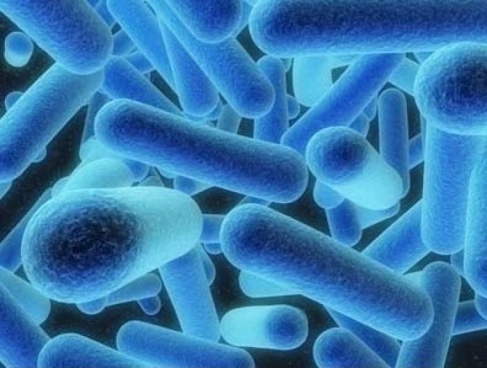 LA LEGIONELLA